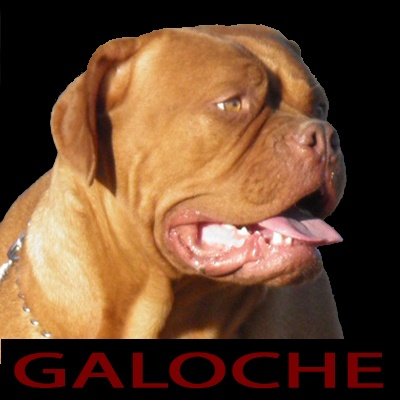 Galoche De La Source Des Titans